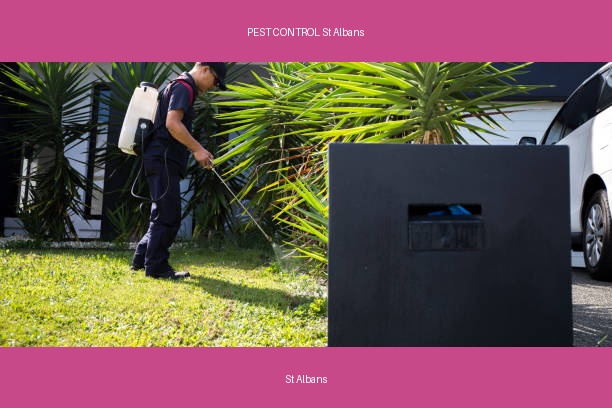 PEST CONTROL St Albans